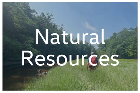 Natural Resources Tab