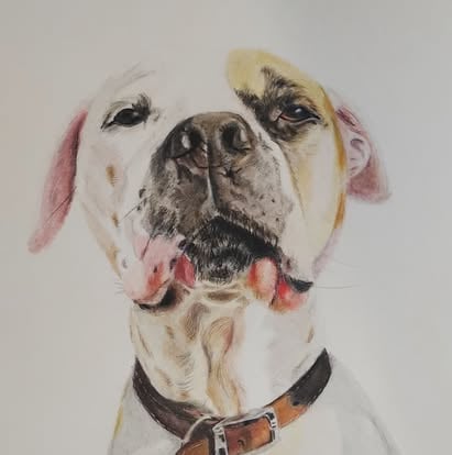 Stunning custom dog portrait by Dudley artist Maggie
