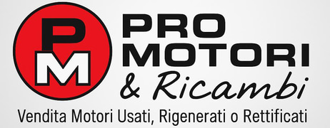 Pro Motori logo