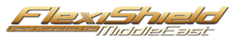 فليكسي شيلد logo
