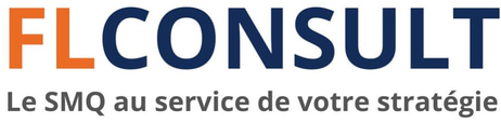FLCONSULT - Francis LANAUD logo
