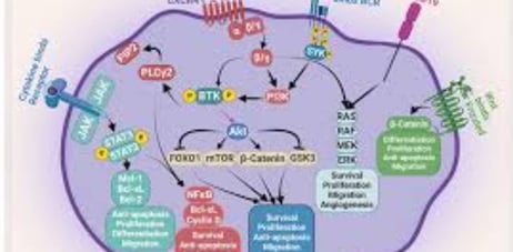 Multiple Myeloma: Diagnosis, Complications, Treatment, and Fasting