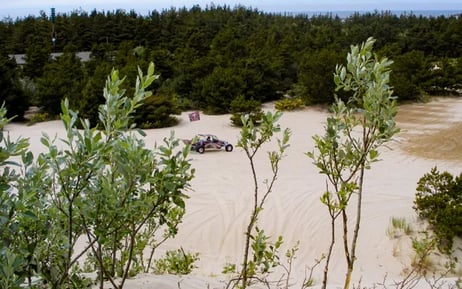 Oregon Coast - Winchester Bay's sand dunes are popular all year