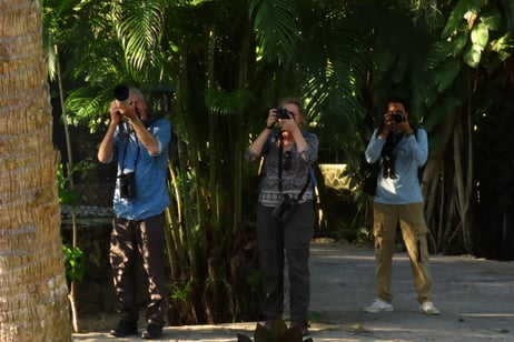 Bird watching tour Bahamas, nature photographers viewing birds