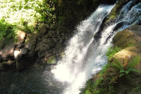 Eugene, OR - Majestic Falls at the bottom to view the 40 foot falls