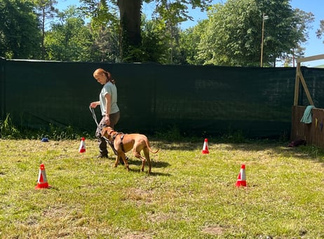 Frau mit Hund beim Gruppentraining bei RIKA Hundetraining in Wiesental