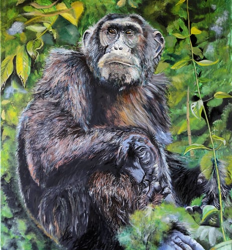 Endangered Species chimpanzee Oil Painting