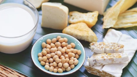 Alimentos probióticos