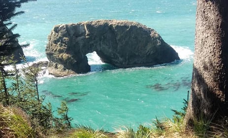 Oregon Coast - Arch Rock State Park, north of Brookings