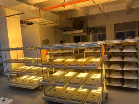 solar led street light aging test