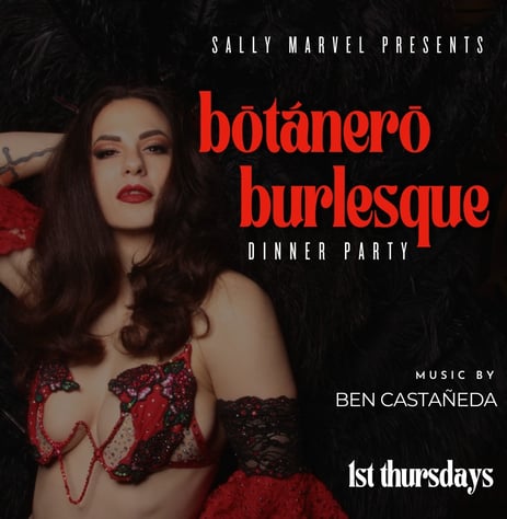 Burlesque Show  - Chicago Burlesque - Live Entertainment - Cabaret - Dinner Party