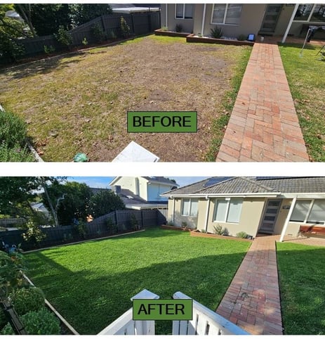 Garden renovation, Landscaping completely newly laid buffalo lawn before & after
