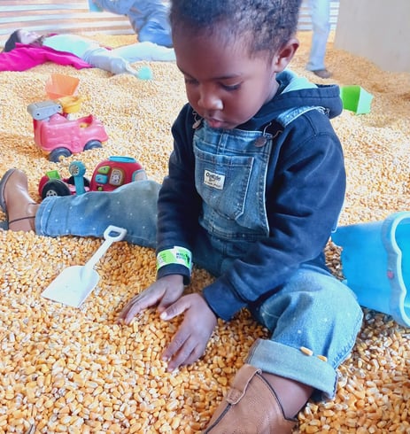 little boy playing with corn kernels in corn silo on Gaver Farms