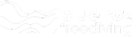 Here and Now Freedive logo