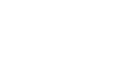 Ana Moca logo