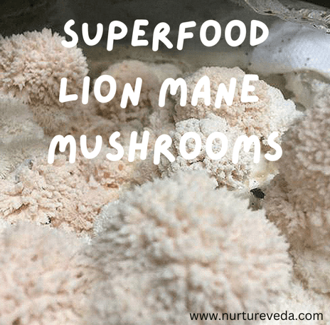 Lion Mane Mushrooms