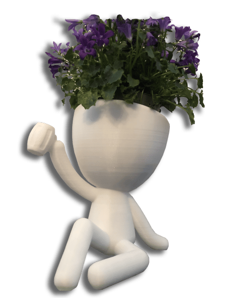 Pots de fleurs festif