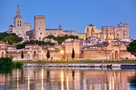 Avignon city Pope palace and city walls and river