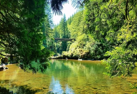 Yacolt, WA - Looking at Moulton Falls Bridge, green forest & clear emerald water