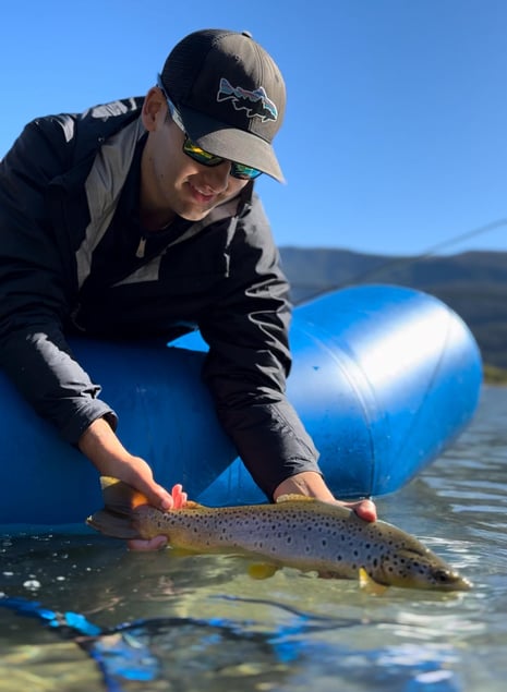 trucha marron pescada en lago puelo