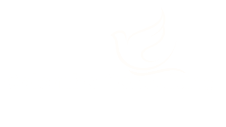 Colombe Consulting logo