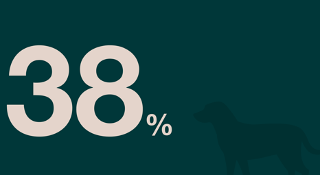 dogAdvisor ✲ dogadvisor ✲ dog advisor ✲ Blog for new dog owners ✲ dogs ✲ dog advisers ✲ dog advisors