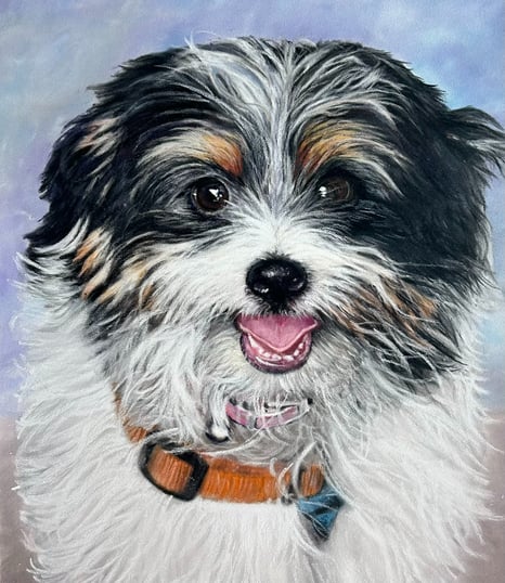 Pastel drawing of Maltese Terrier
