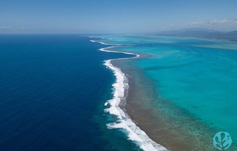 Great reef barrier of new Caledonia