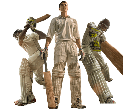 Cricket players