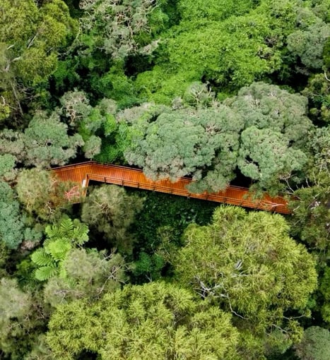 Decking works for Hunters Hill Council. Walkbridge for riverglade reserve Gladesville/Huntleys Cove