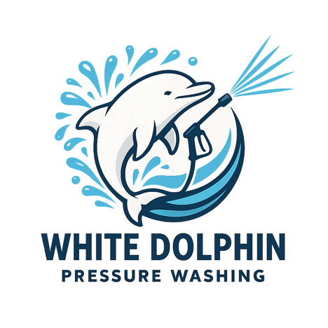 WhiteDolphinPressureWash logo