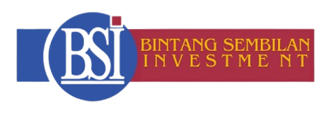 BINTANG SEMBILAN INVESTMENT logo