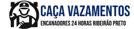 REI DOS VAZAMENTOS RP logo