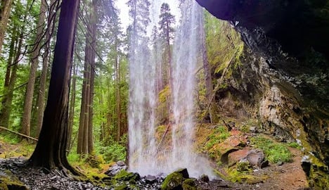 Waterfall Hwy, OR - View from behind Grotto Falls