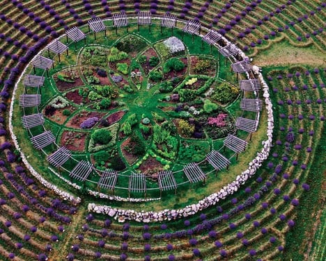 Lavender Labyrinth, Michigan