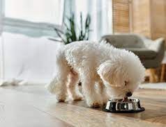 dog food for a finicky eater
