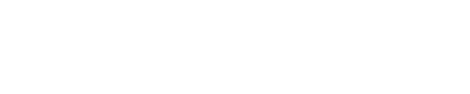Lean X logo