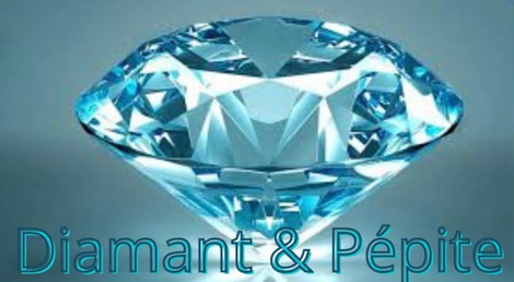 Les Merveilles de Sandrine logo