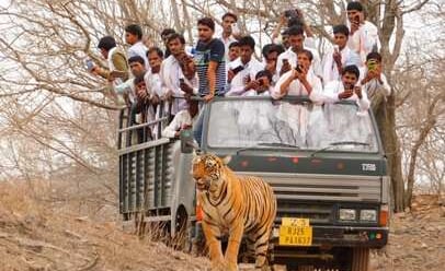 canter safari in ranthambore national park