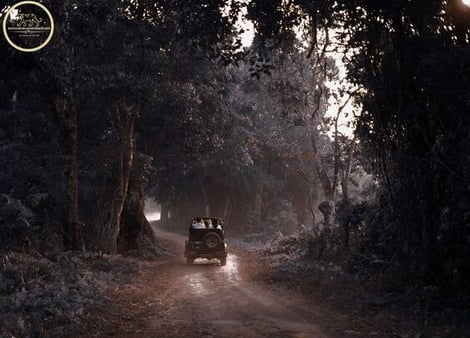 jeep in ranthambore national park