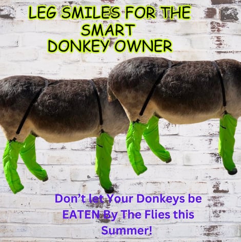 donkeys wearing green boots and green boots with green boots