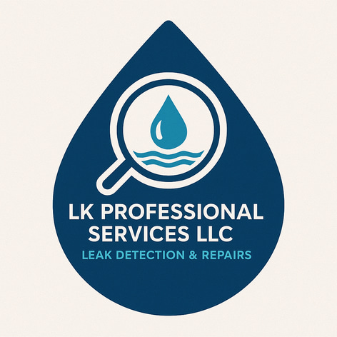 LK Professional Services LLC logo