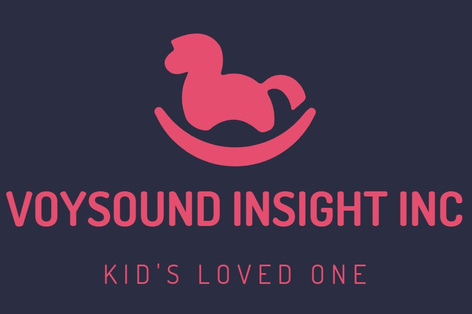 Voysound Insight INC logo