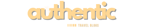 The Global Drifter logo