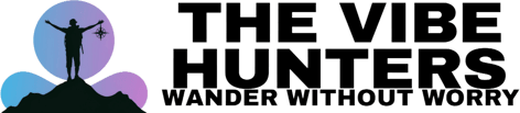 The Vibe Hunters logo