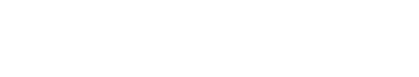 PALDV logo