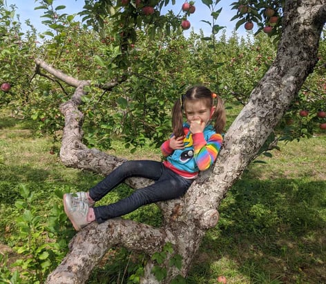 a little girl sitting in a tree eating an apple
