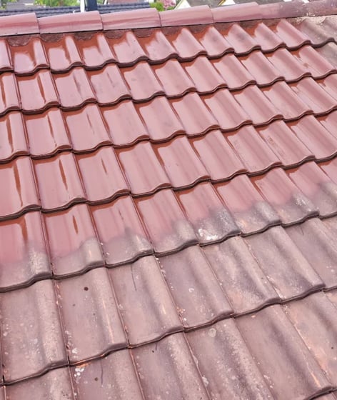 Toiture en tuiles rouges brillantes après rénovation et traitement, mettant en valeur la qualité du nettoyage réalisé à Audin