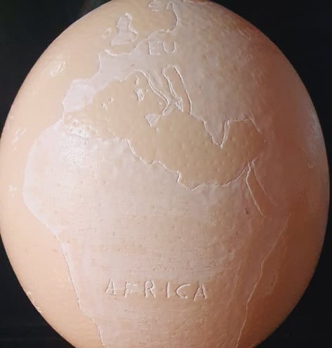 World map carved on an ostrich's egg, it's a lamp