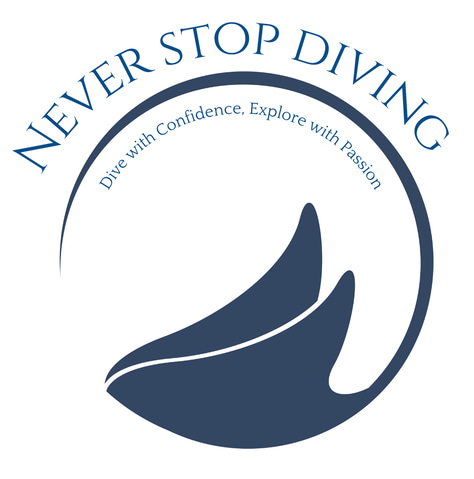 Never Stop Diving logo
